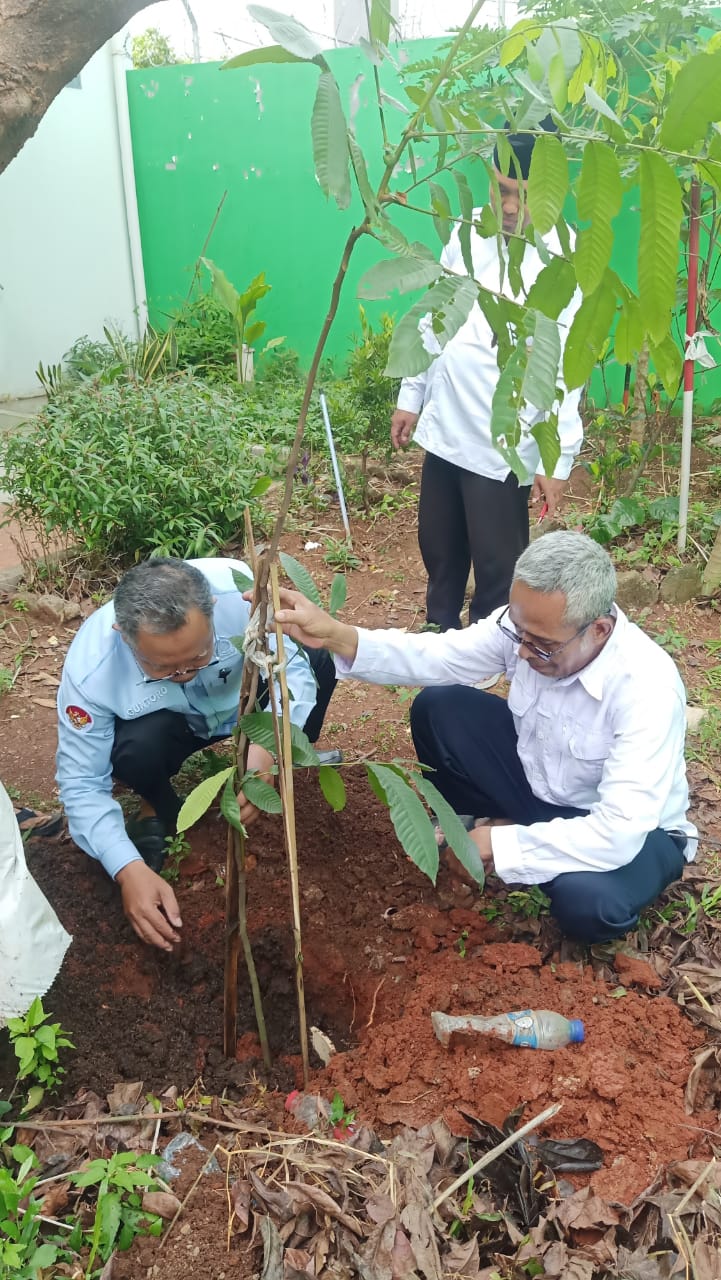 Guntoro (kiri : kamad MTsN 24), Irfan (kanan : KaTU MTsN 24) menanam pohon matoa pertama di lingkungan MTsN 24